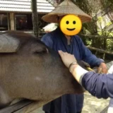 ９ヶ月の子と2人で！３泊４日のワンオペ沖縄旅行