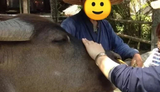 ９ヶ月の子と2人で！３泊４日のワンオペ沖縄旅行