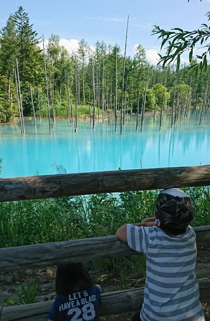 青い池を眺める１歳児と４歳児