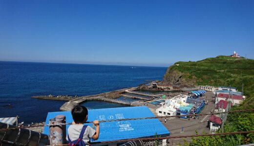 車なしで北海道へ！子連れワンオペ旅行記〜札幌から日帰りでおたる水族館へ〜