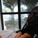 雨の沖縄を眺める赤ちゃん
