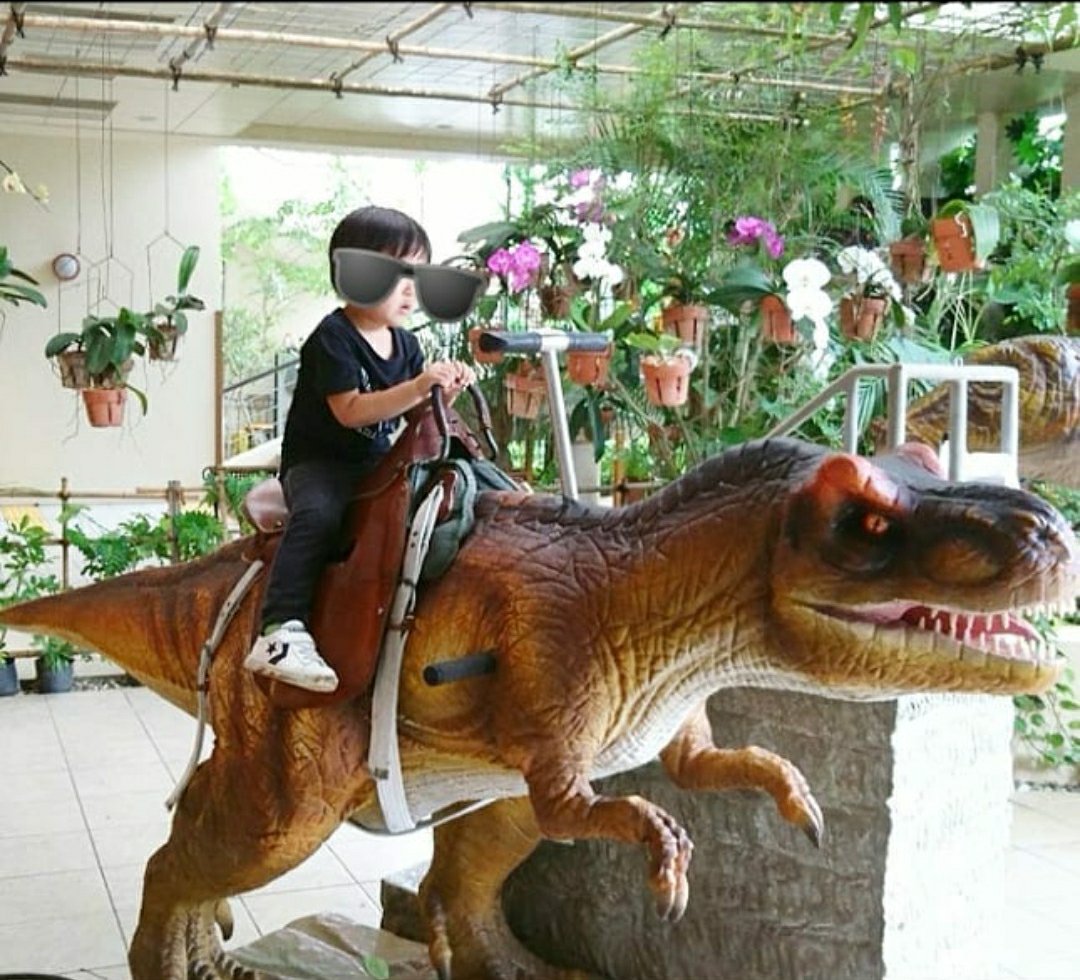 DINO恐竜PARKやんばる亜熱帯の森の恐竜の遊具