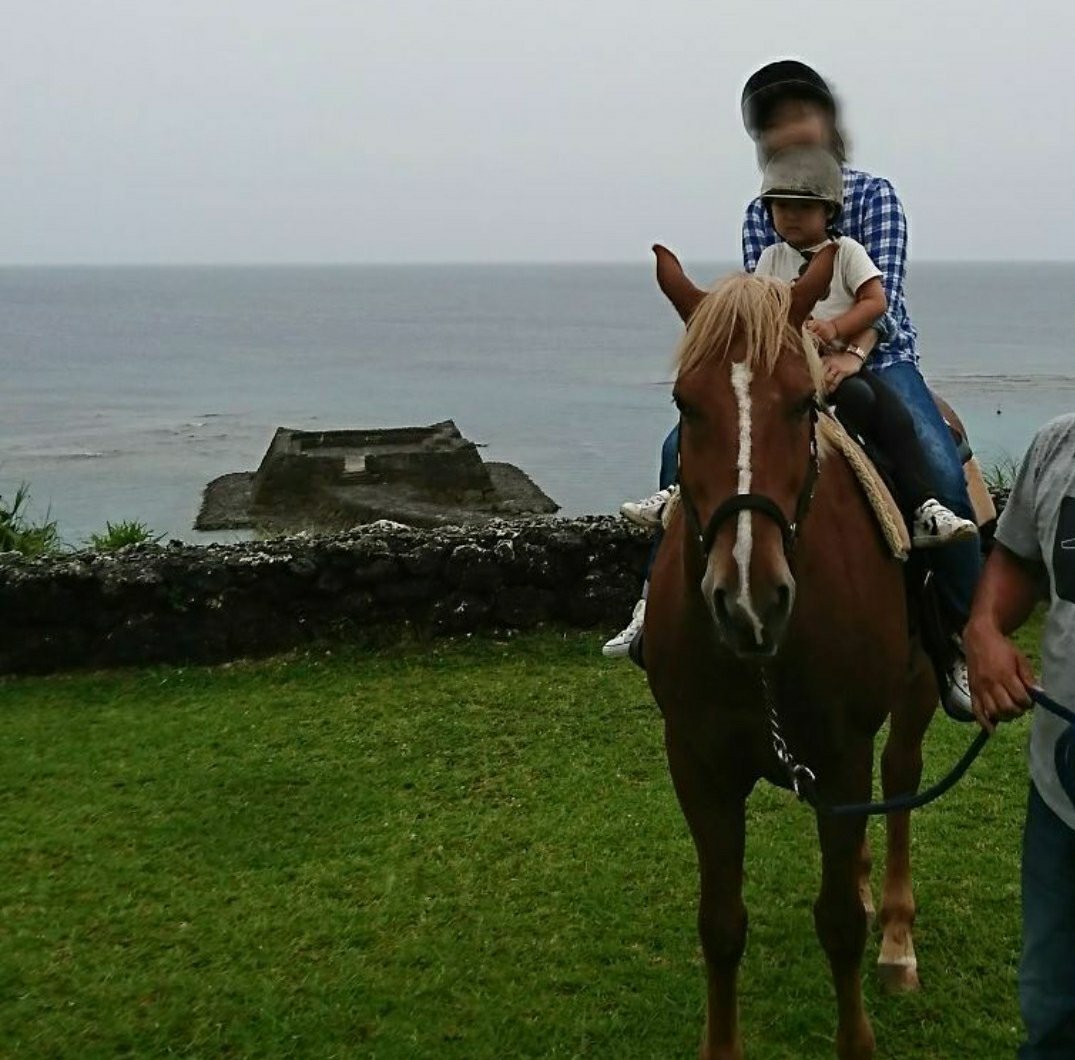 ホテル日航アリビラのアクティビティ海の見える丘で乗馬