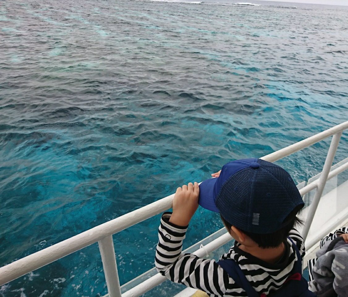 半潜水式水中観光船『シースカイ博愛』デッキからの景色