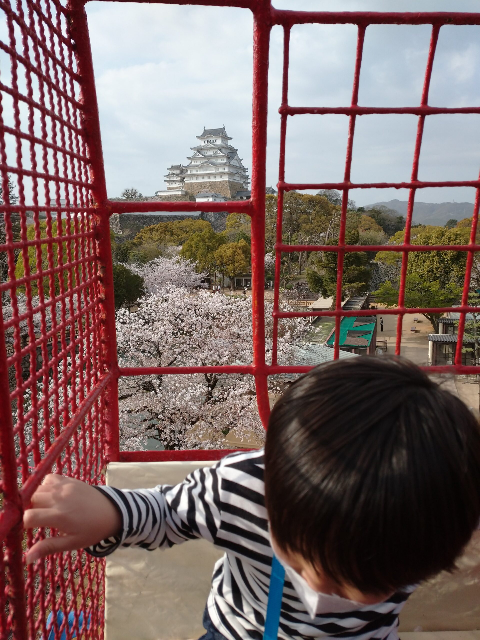 姫路市立動物園の観覧車から見られる姬路城