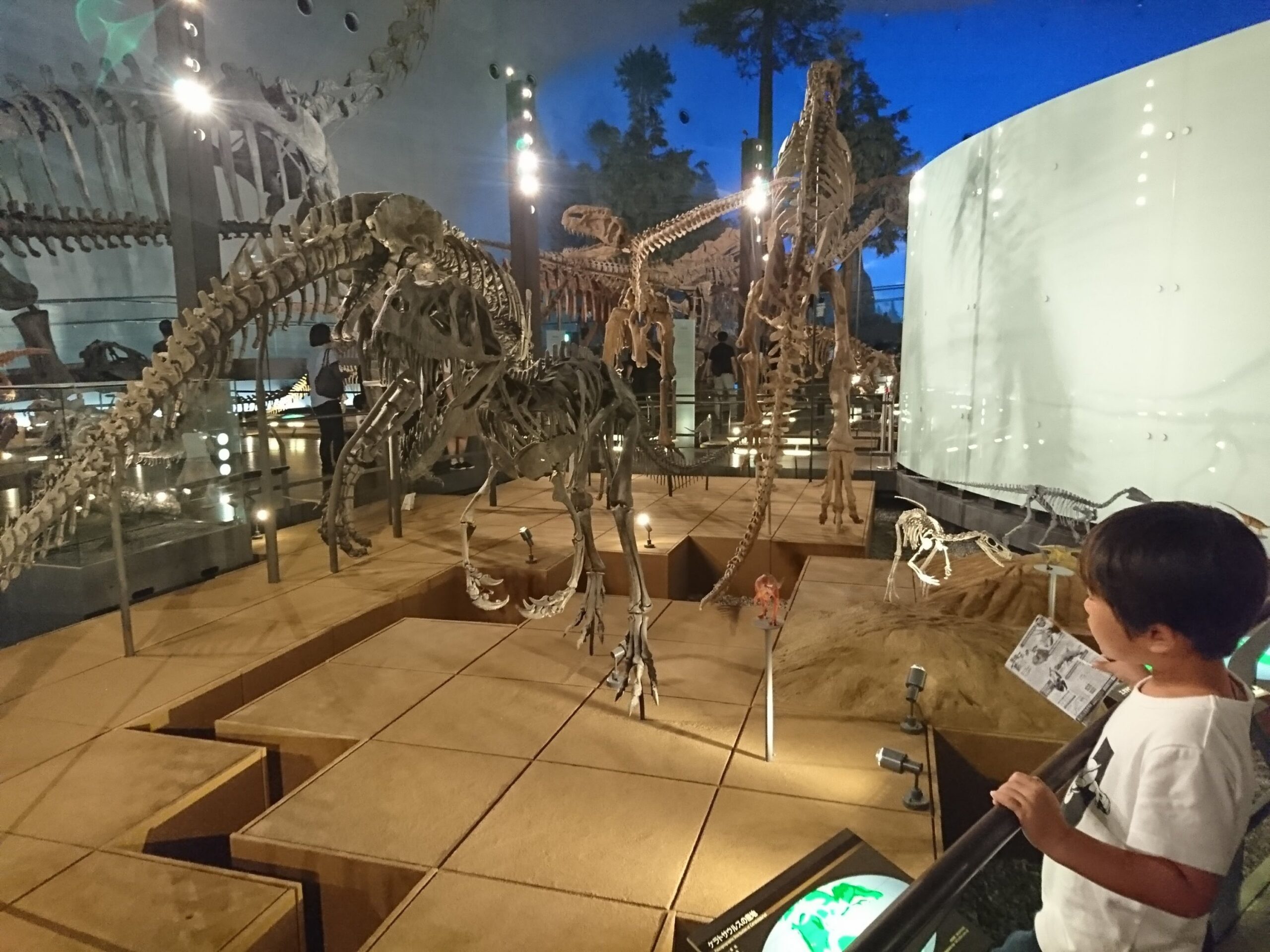福井県立恐竜博物館の恐竜実物大ジオラマ
