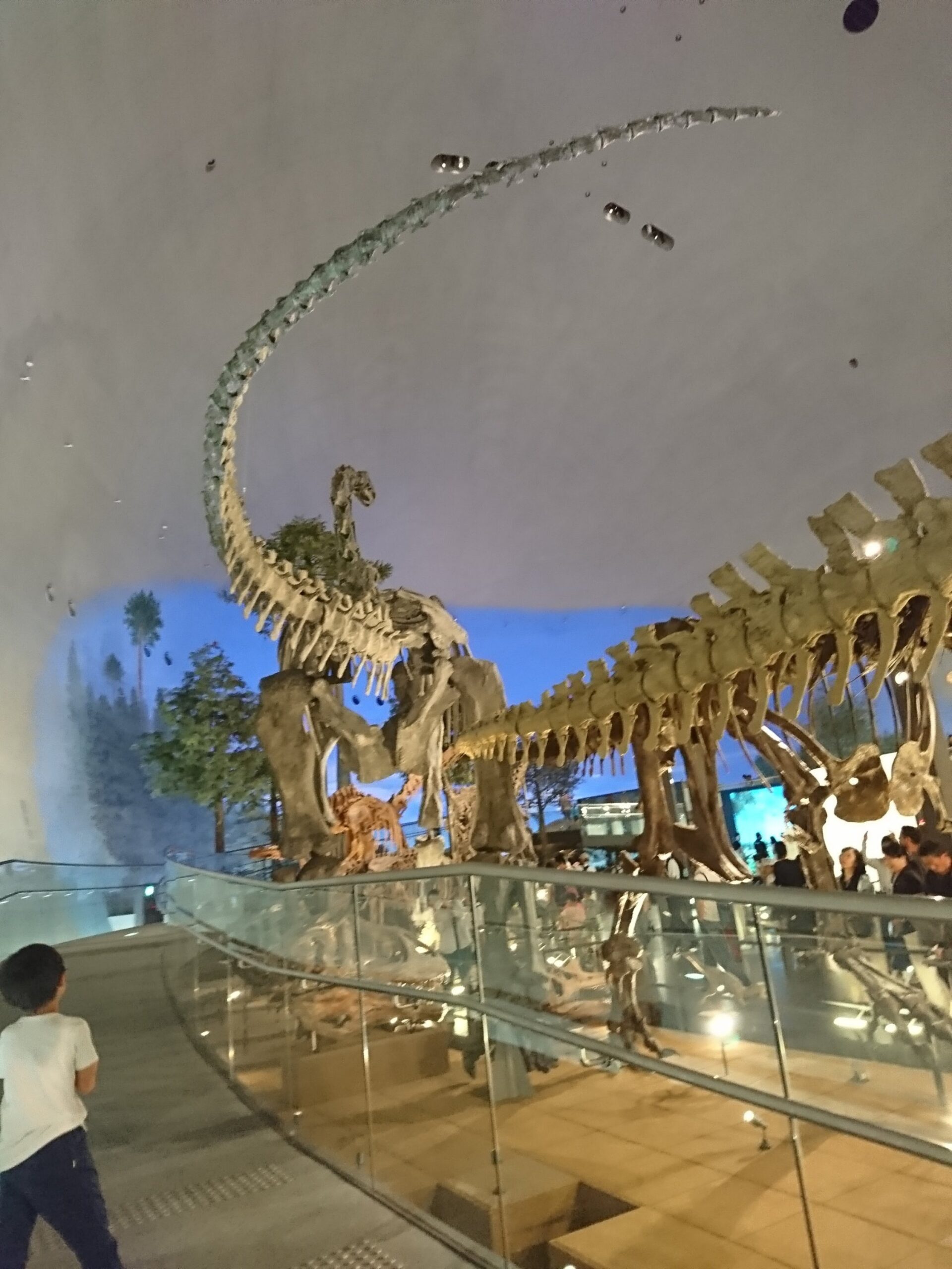 福井県立恐竜博物館の恐竜ジオラマ