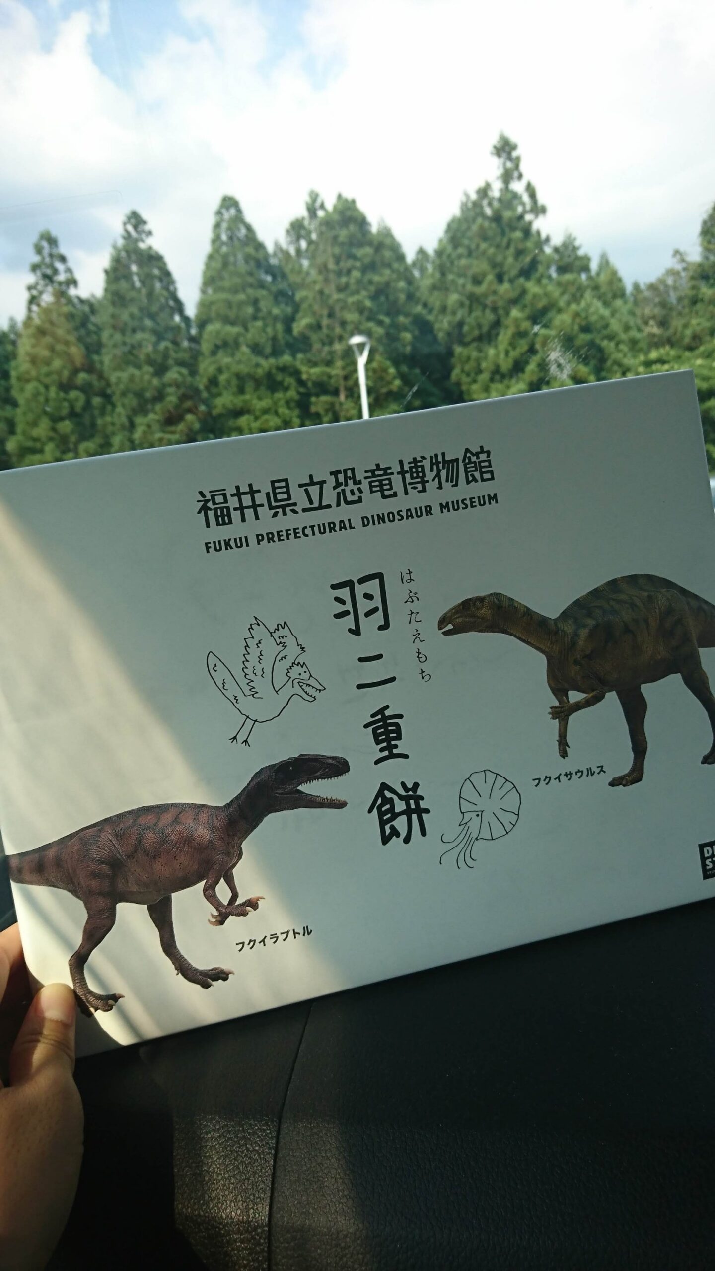 福井県立恐竜博物館のお土産・羽二重餅