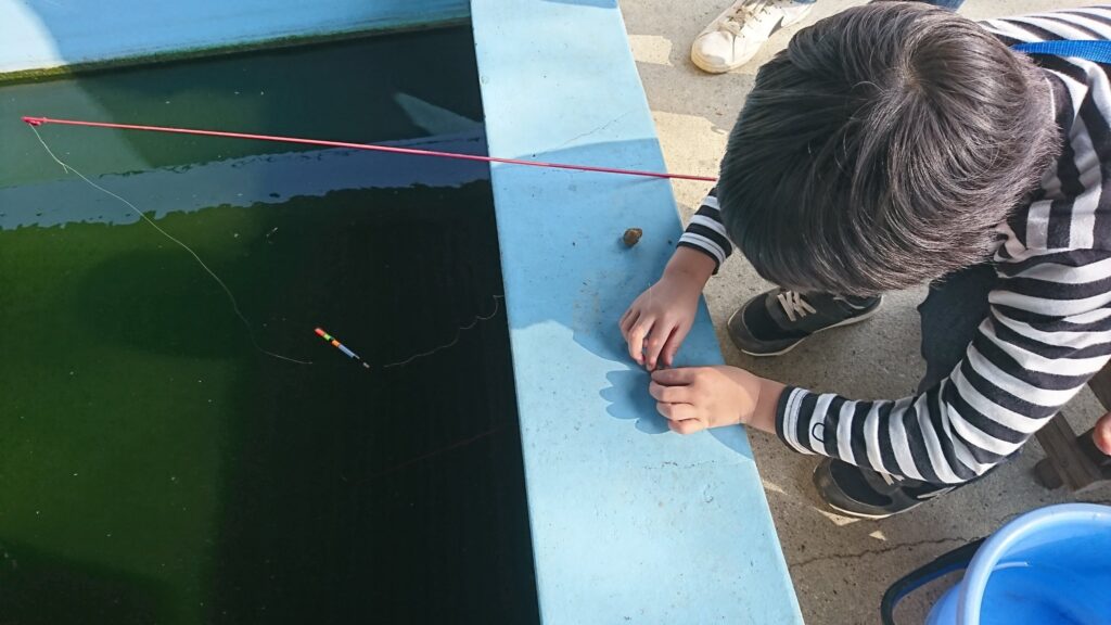 滋賀の南郷水産センター・釣り針に魚の餌をつける７歳の息子