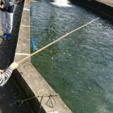 子どもと釣り体験〜滋賀にある南郷水産センターへ〜