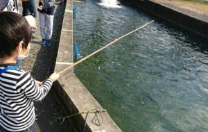 滋賀の南郷水産センター・マス釣りをする７歳の息子