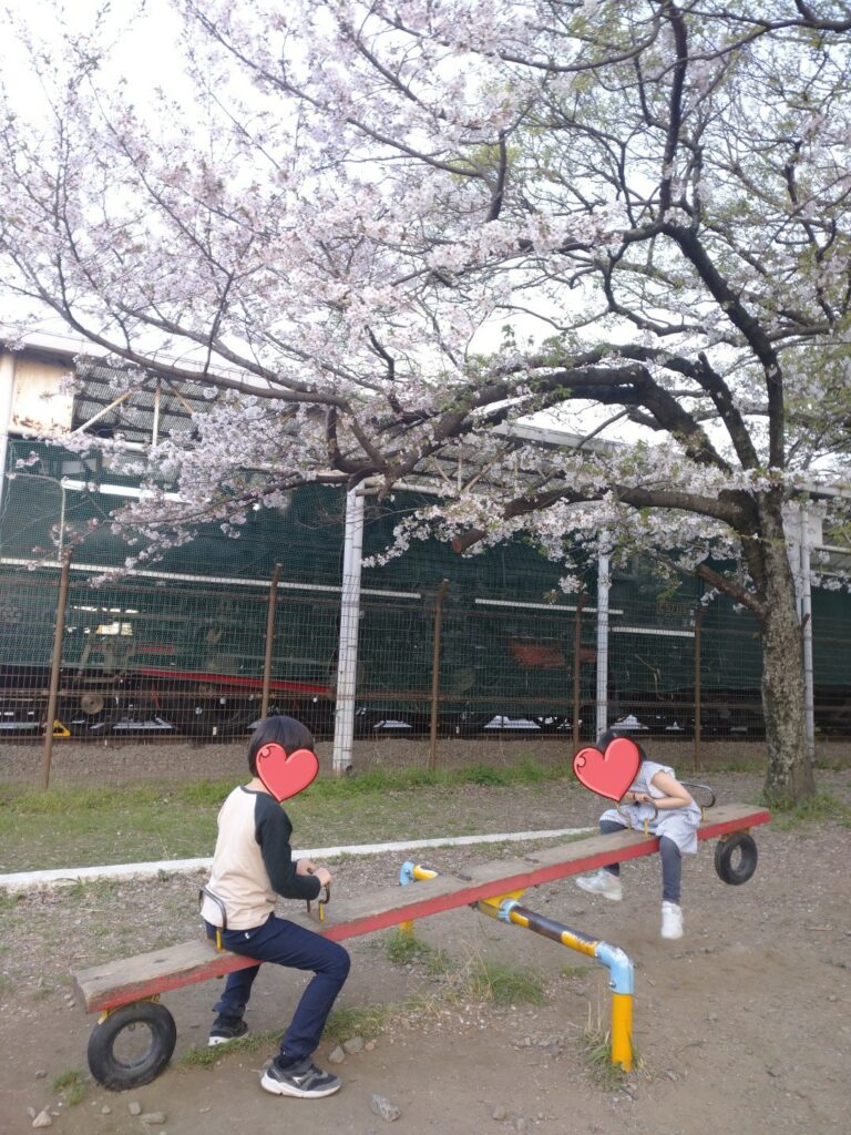 和歌山城の向かい側にある岡公園。桜の下でシーソーに乗る６歳と９歳の兄妹。