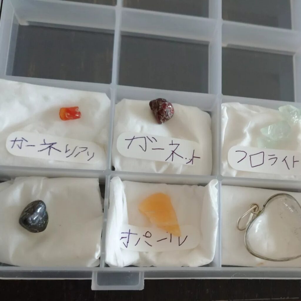 大阪ミネラルマルシェ2023の発掘体験で出てきた石と化石を100円ショップのケースに収納。