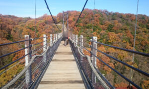 ほしだ園地の星のブランコ・吊り橋の中頃からみた景色・１２月初旬の紅葉