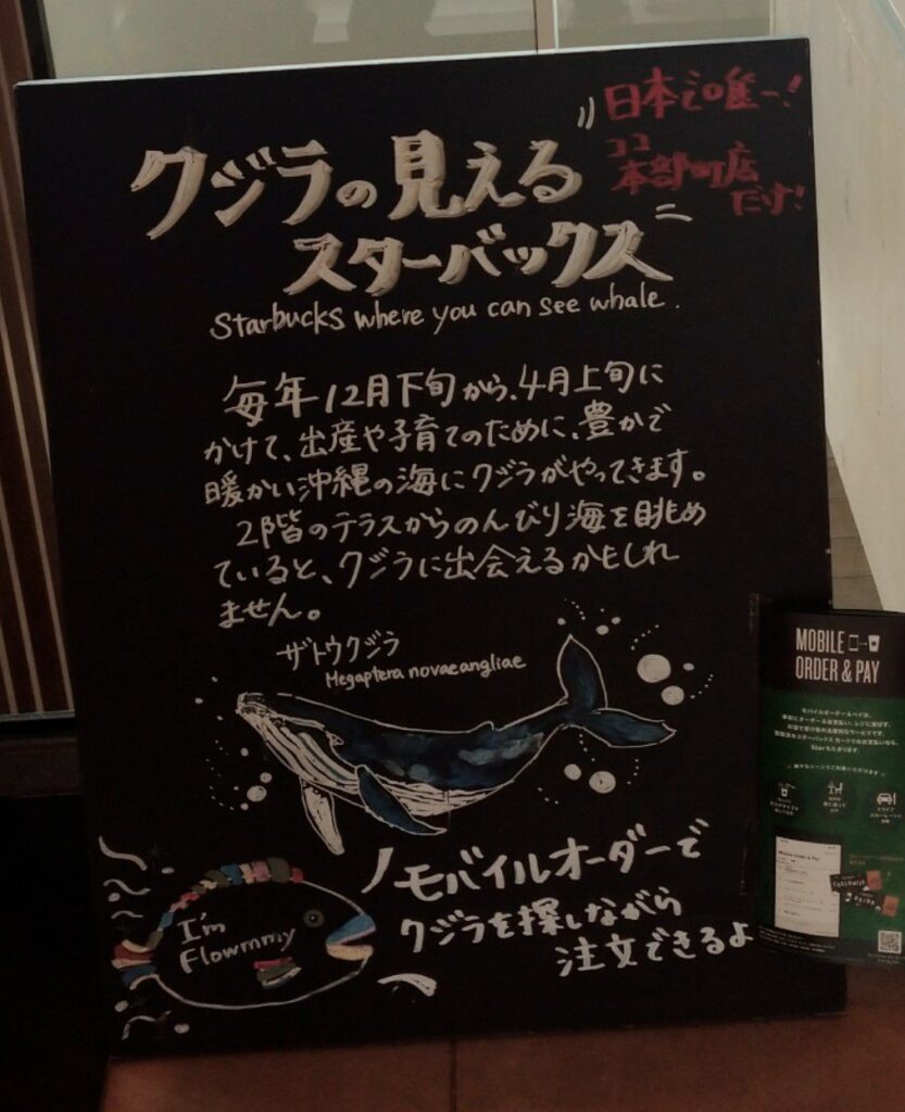 沖縄本島本部にあるハナサキマルシェのスターバックスからクジラが見られるかも!?