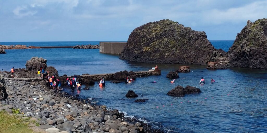 福井にある越前松島水族館の磯の生物観察会