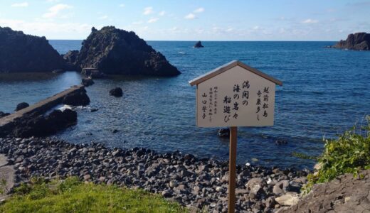 夏休み！越前松島水族館へ〜子連れで福井〜