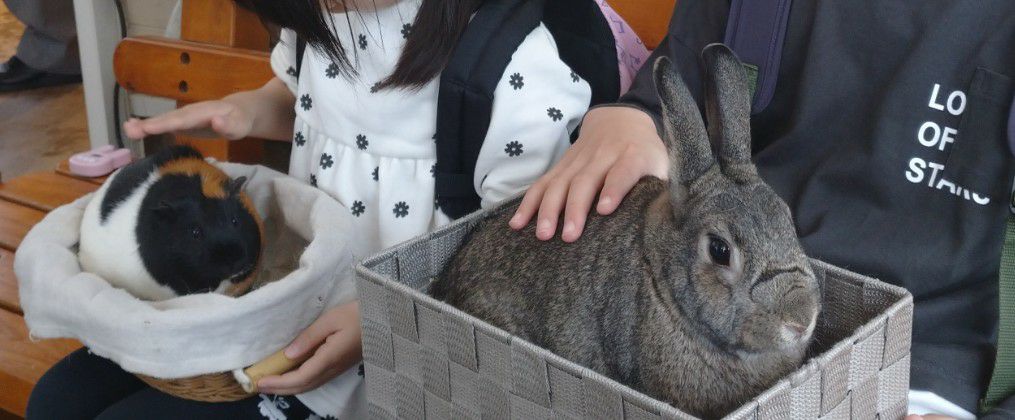 和歌山・南紀白浜アドベンチャーワールドのふれあい体験