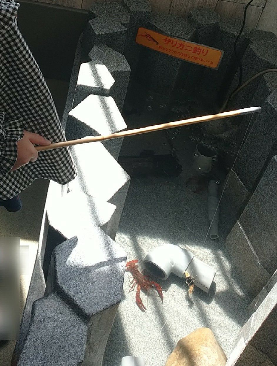 和歌山にあるエビとカニの水族館にて。ザリガニ&ヤドカリ釣り。