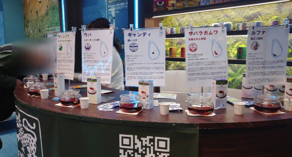 大阪・関西万博のコモンズA館にて。紅茶の香りを嗅いでみるコーナー