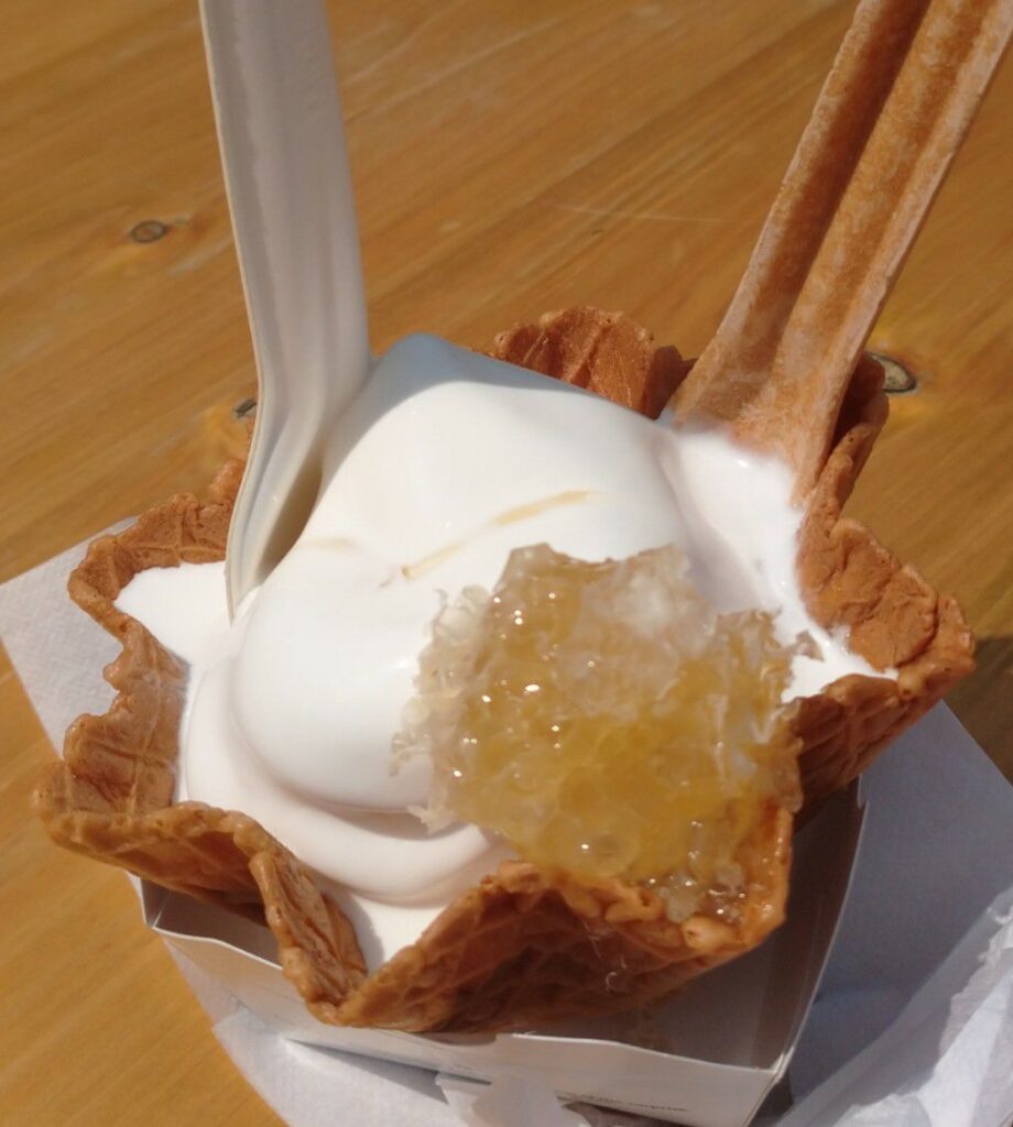 大阪・関西万博にて。神戸養蜂場の巣蜜ソフトクリーム900円・暑さで溶けています