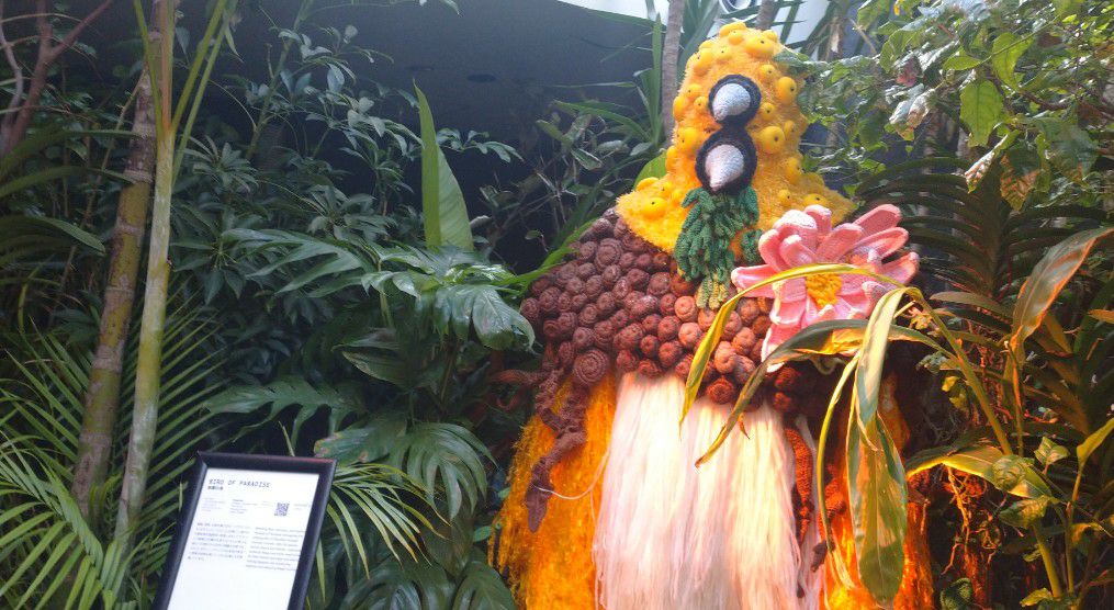 大阪・関西万博のインドネシア館にて。植物はインドネシアから持ってきたらしい。