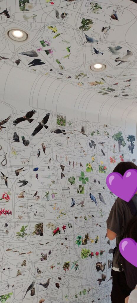 大阪・関西万博にて。いのちめぐる冒険のフリーエリアにある生物多様性シナプス。