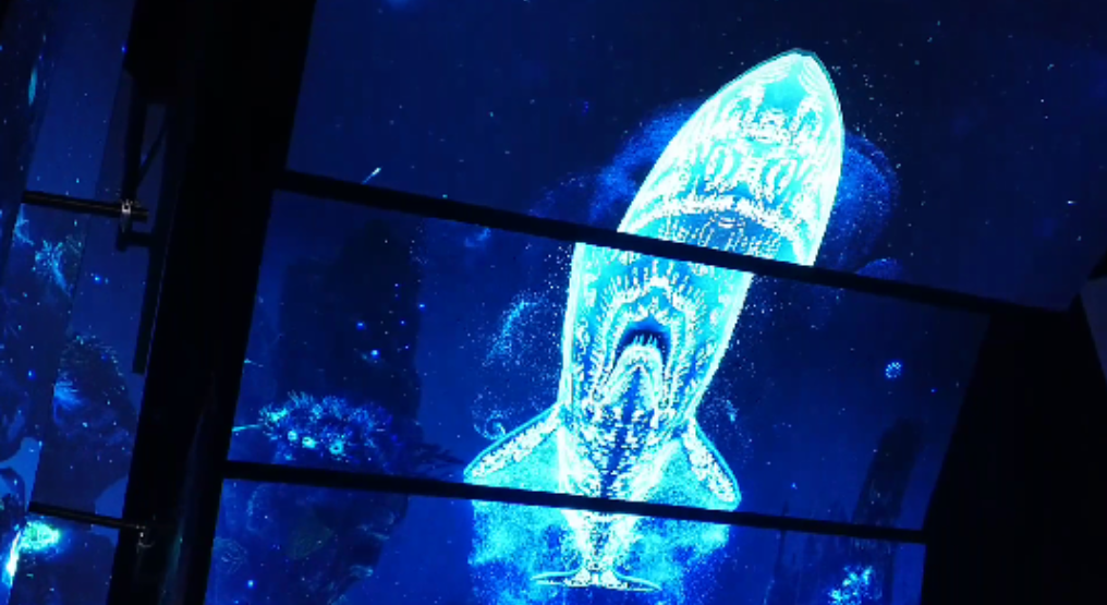 大阪・関西万博のオーストラリアパビリオン。
天井のスクリーン巨大なクジラが映し出された
